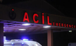 Mantardan zehirlenip hastaneye kaldırıldılar