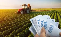 Çiftçiye Yeni Destek Düzenlemesi: Tarımsal Üretimde Ödemeler Artırıldı