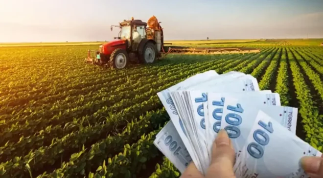 Çiftçiye Yeni Destek Düzenlemesi: Tarımsal Üretimde Ödemeler Artırıldı